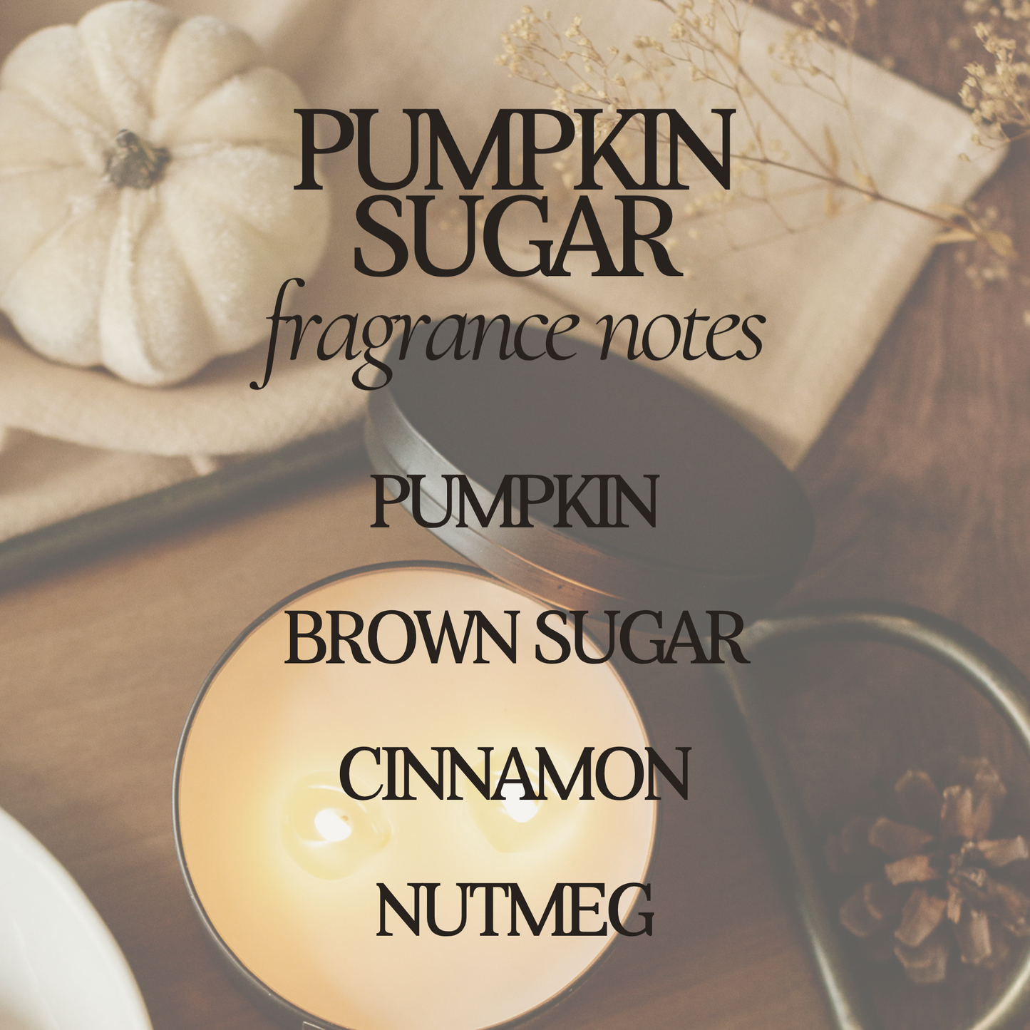 RR107 Rustic Rays Candle Co. - Pumpkin Sugar 12 oz Soy Candle - Fall Home Decor & Gifts