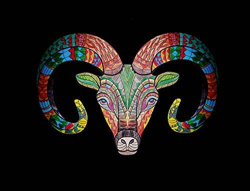 Blue Star Press - Stress Relieving Animal Designs Adult Coloring Book