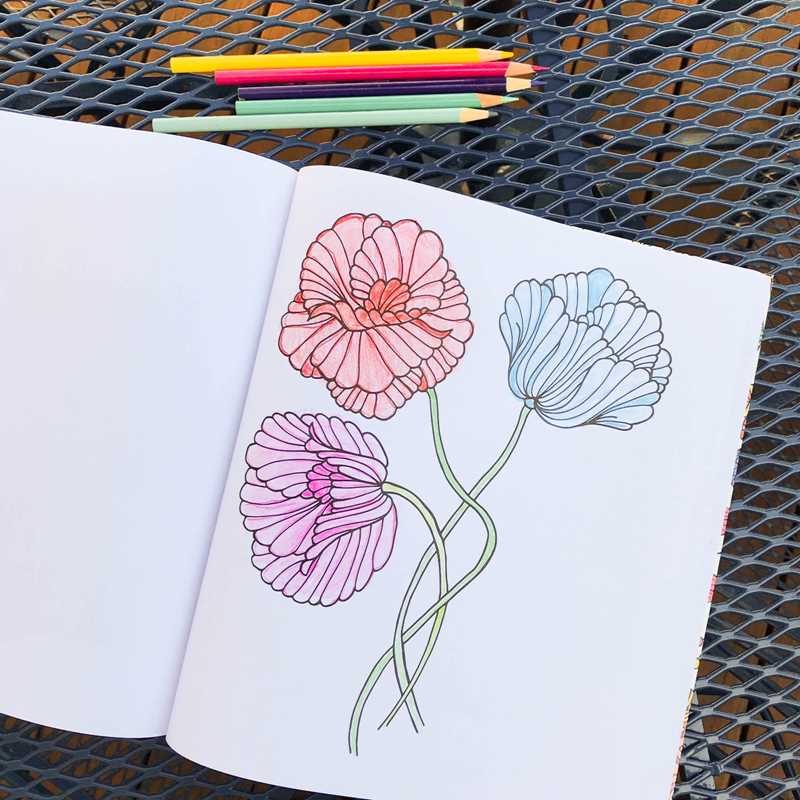 Simon & Schuster - Cozy Coloring Book by Editors of Thunder Bay Press