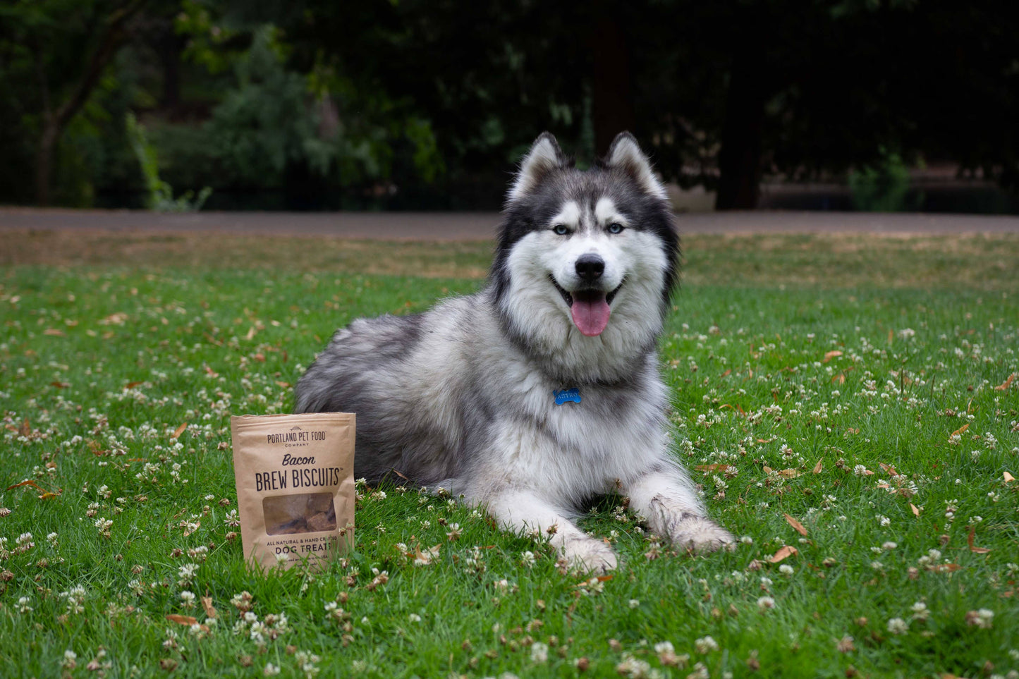 Portland Pet Food Company - Bacon Brew Dog Biscuits