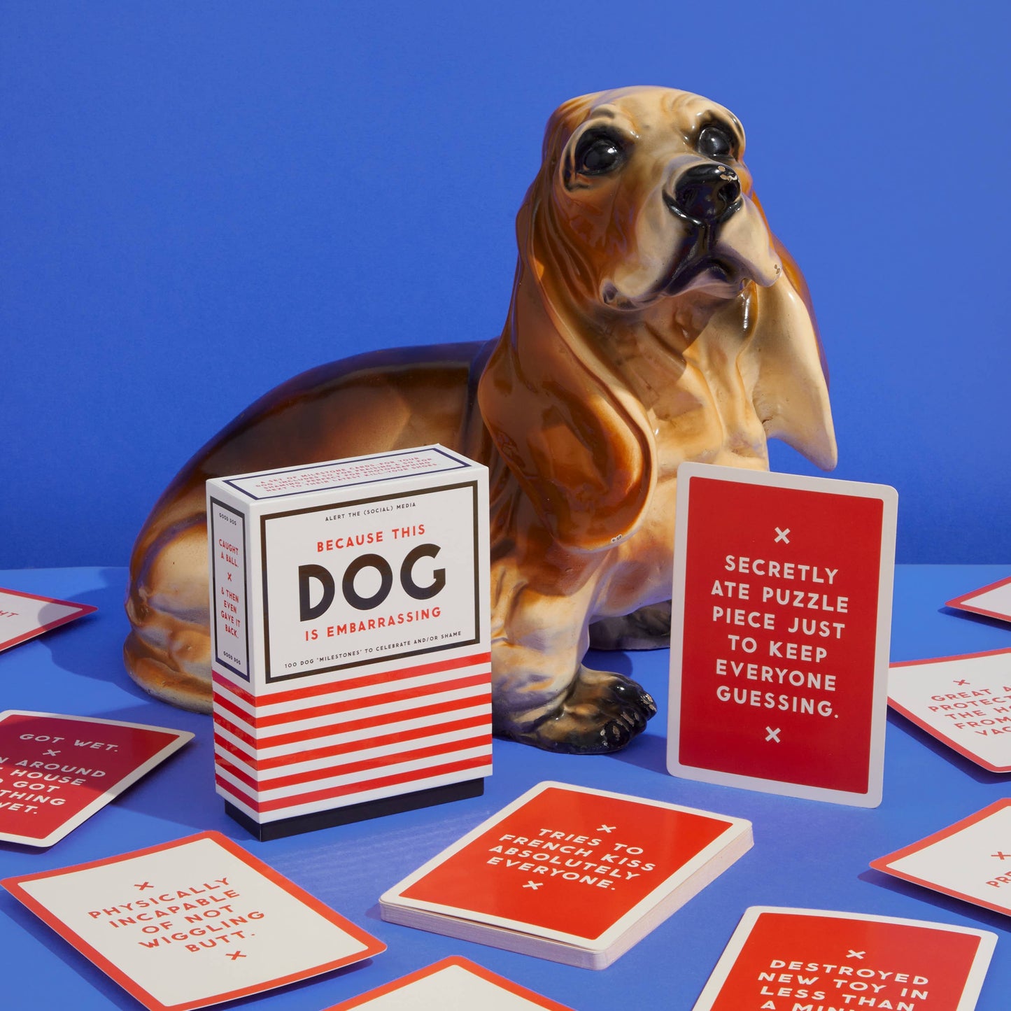 Chronicle Books - Brass Monkey Because This Dog Is Embarrassing - Pet Shame/Praise Deck