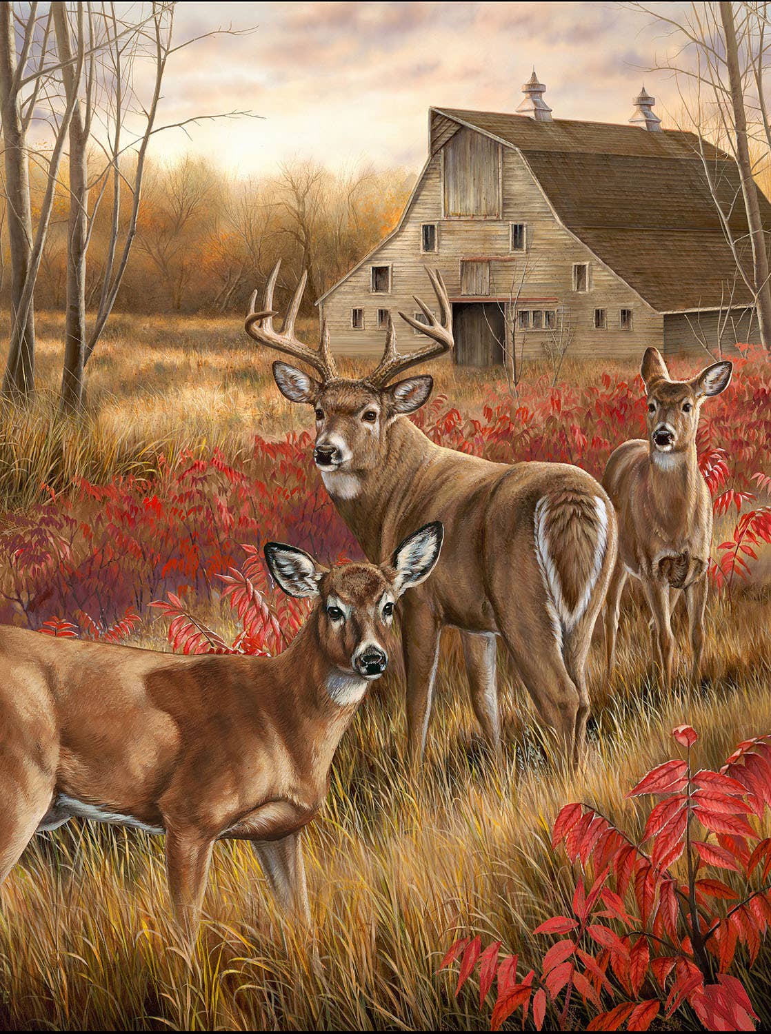 SunsOut - 1141 Among the Shadows 1000 pc Puzzle
