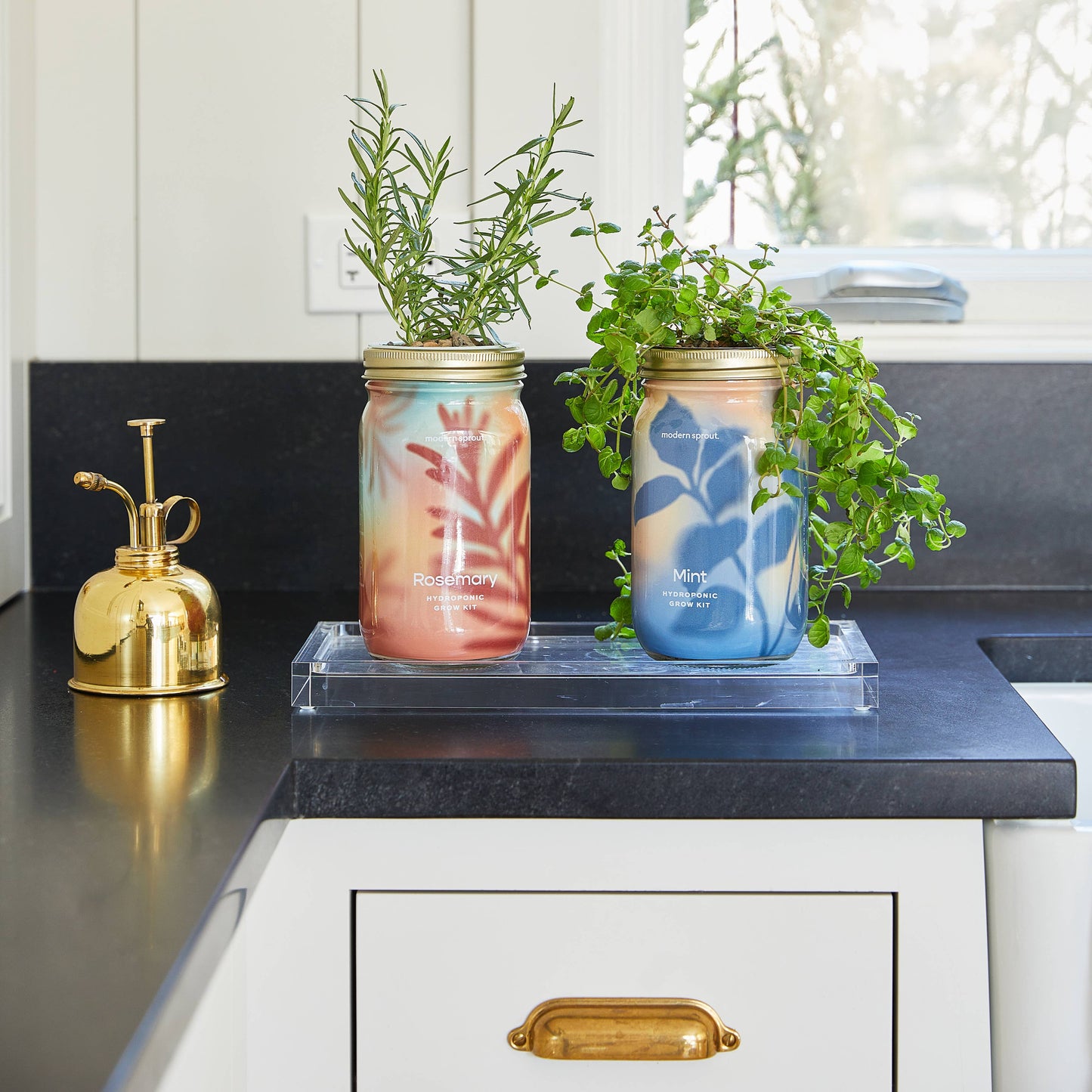 Modern Sprout - Herb Garden Jar