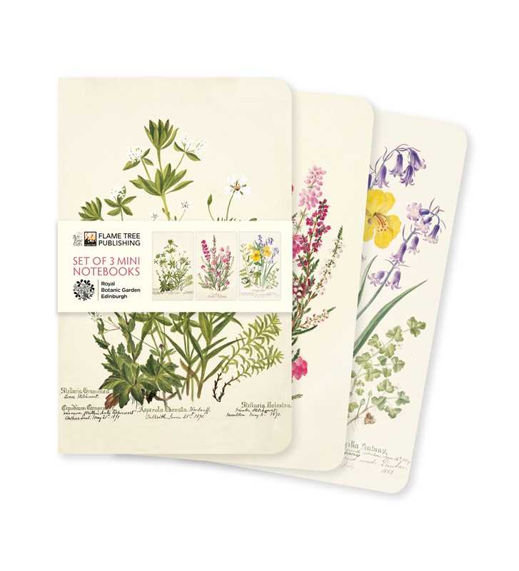 Simon & Schuster - Royal Botanic Garden Edinburgh Set of 3 Mini Notebooks by