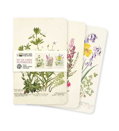Simon & Schuster - Royal Botanic Garden Edinburgh Set of 3 Mini Notebooks by