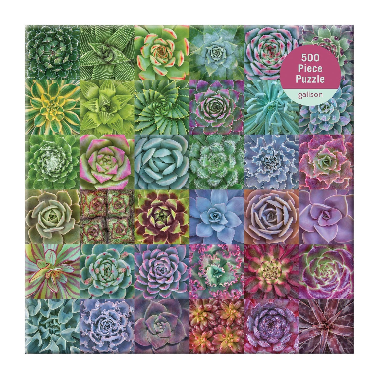 Chronicle Books - Succulent Spectrum 500 Piece Puzzle