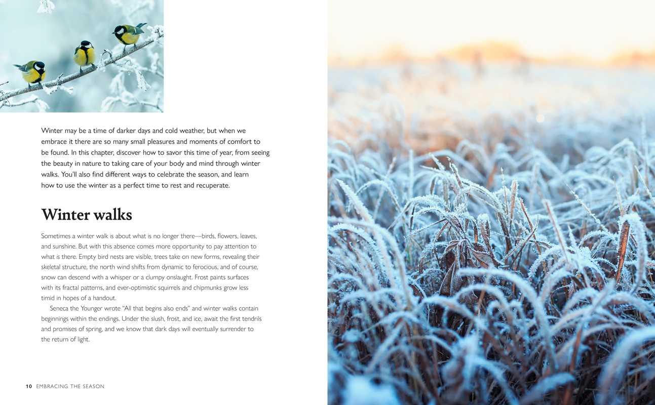 Simon & Schuster - Winter Wellbeing by CICO Books