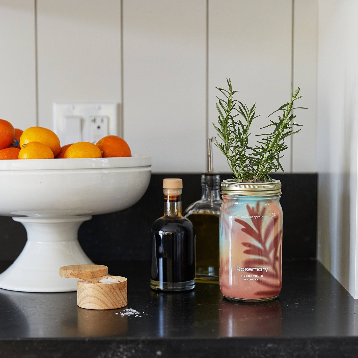 Modern Sprout - Herb Garden Jar