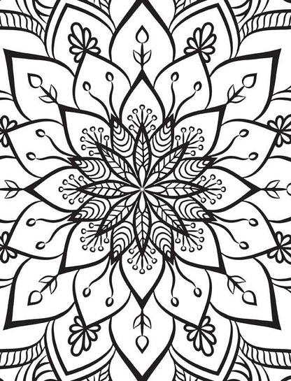 Simon & Schuster - Kaleidoscope: Fabulous Gel Pen Coloring Kit by Editors of Silver Dolphin Books
