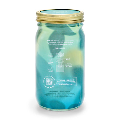Modern Sprout - Herb Garden Jar