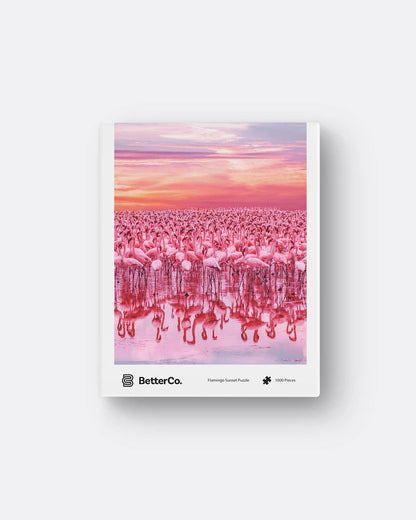 BetterCo. - Flamingo Sunset