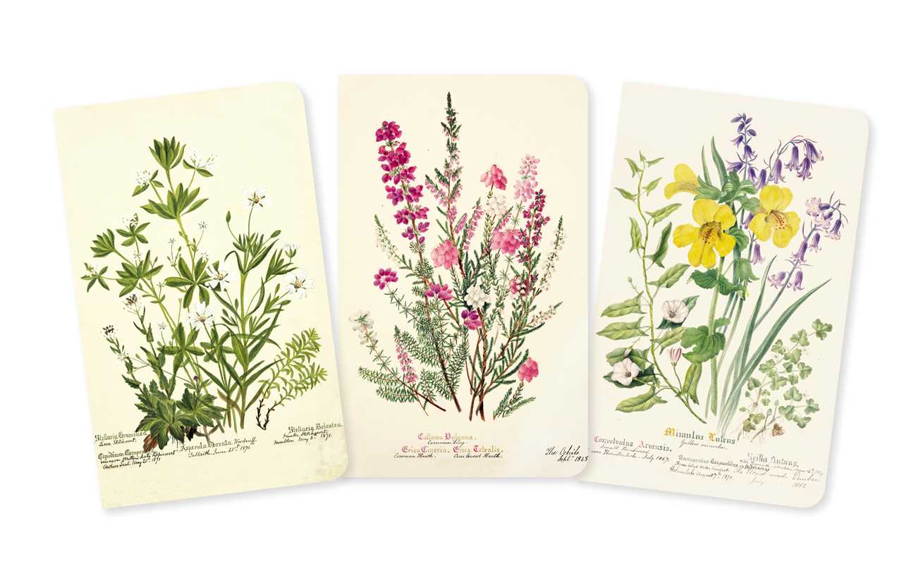 Simon & Schuster - Royal Botanic Garden Edinburgh Set of 3 Mini Notebooks by