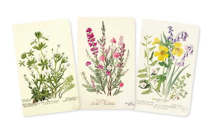 Simon & Schuster - Royal Botanic Garden Edinburgh Set of 3 Mini Notebooks by