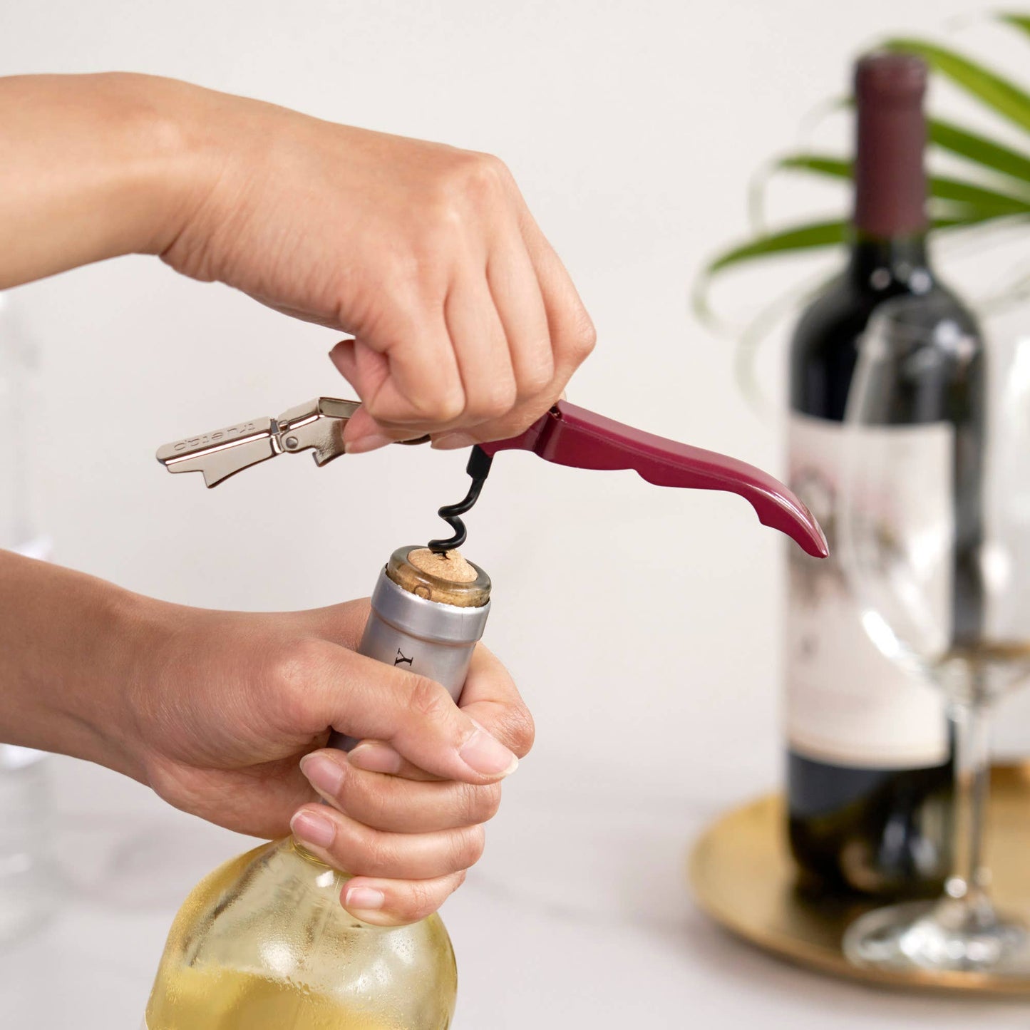 TRUE - Truetap Double-Hinged Corkscrew - ASST COLORS
