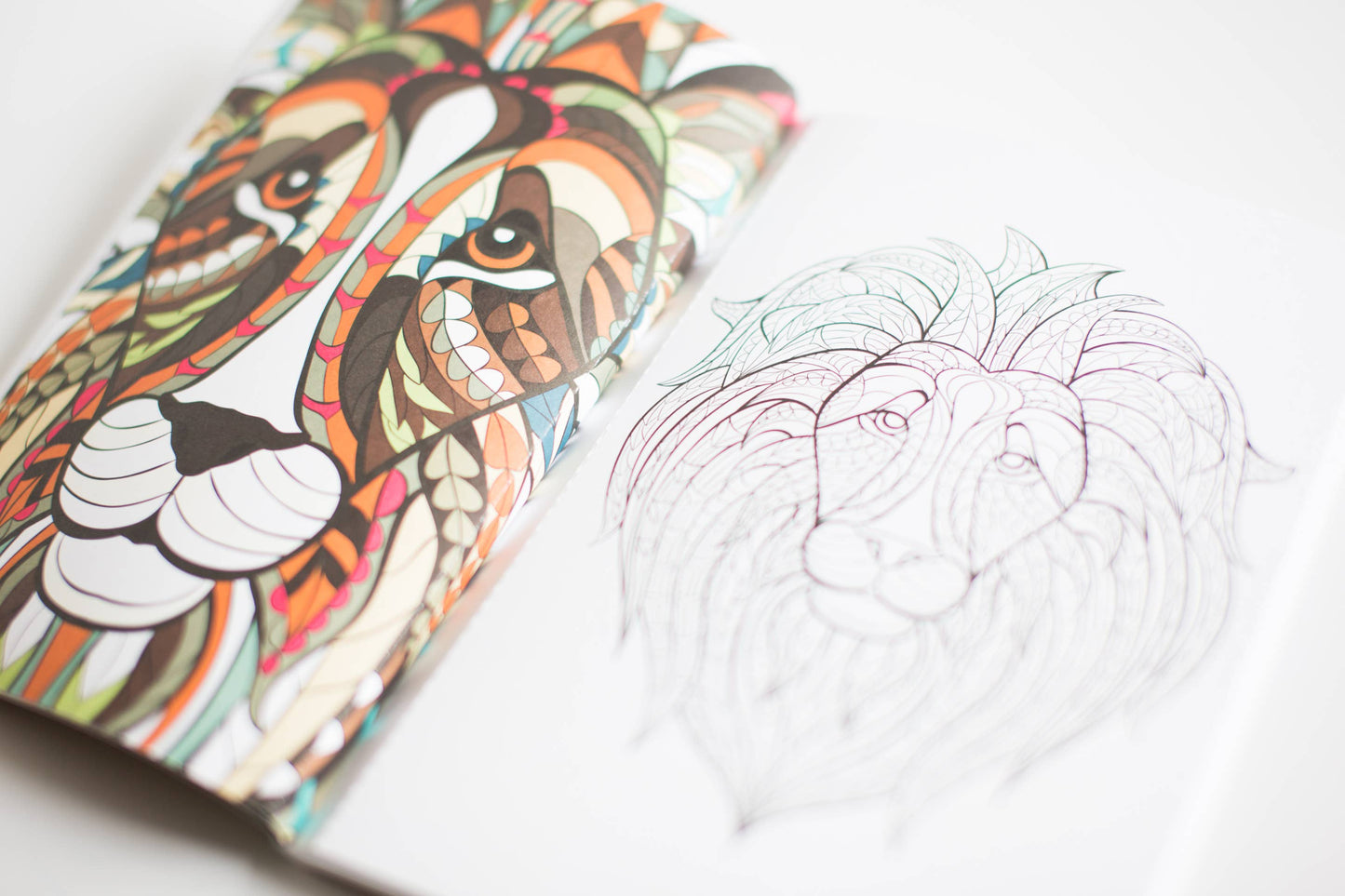 Blue Star Press - Stress Relieving Animal Designs Adult Coloring Book