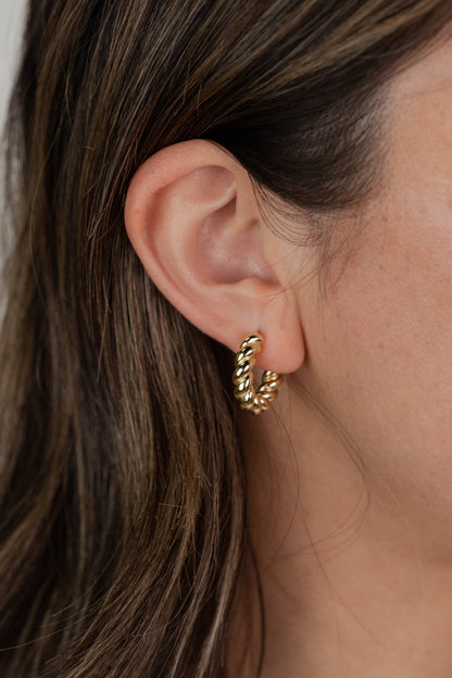 JaxKelly - Gold Hoop - Twisted - Gold Earrings