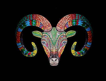 Blue Star Press - Stress Relieving Animal Designs Adult Coloring Book