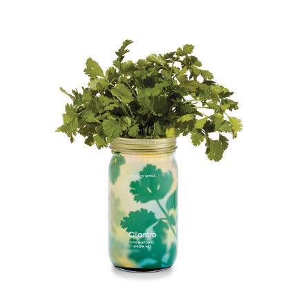 Modern Sprout - Herb Garden Jar