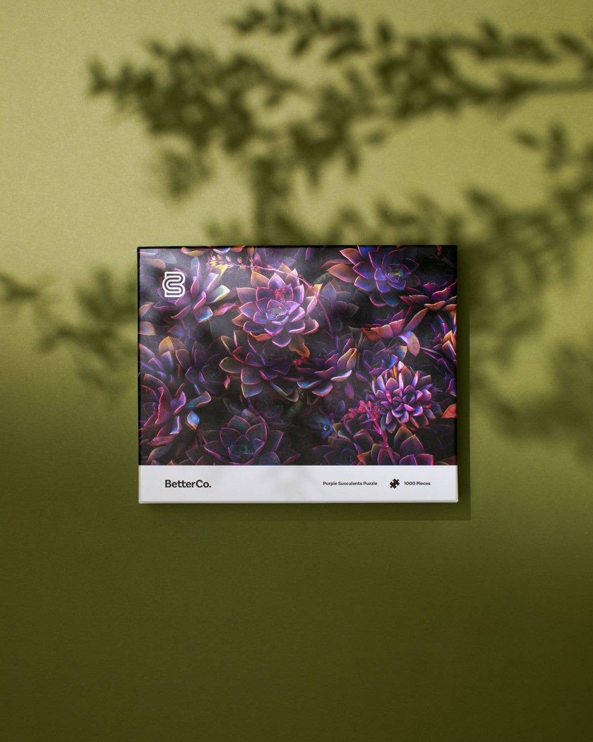 BetterCo. - Purple Succulents