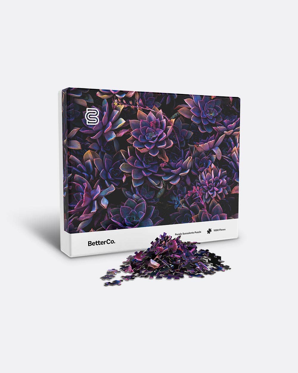 BetterCo. - Purple Succulents