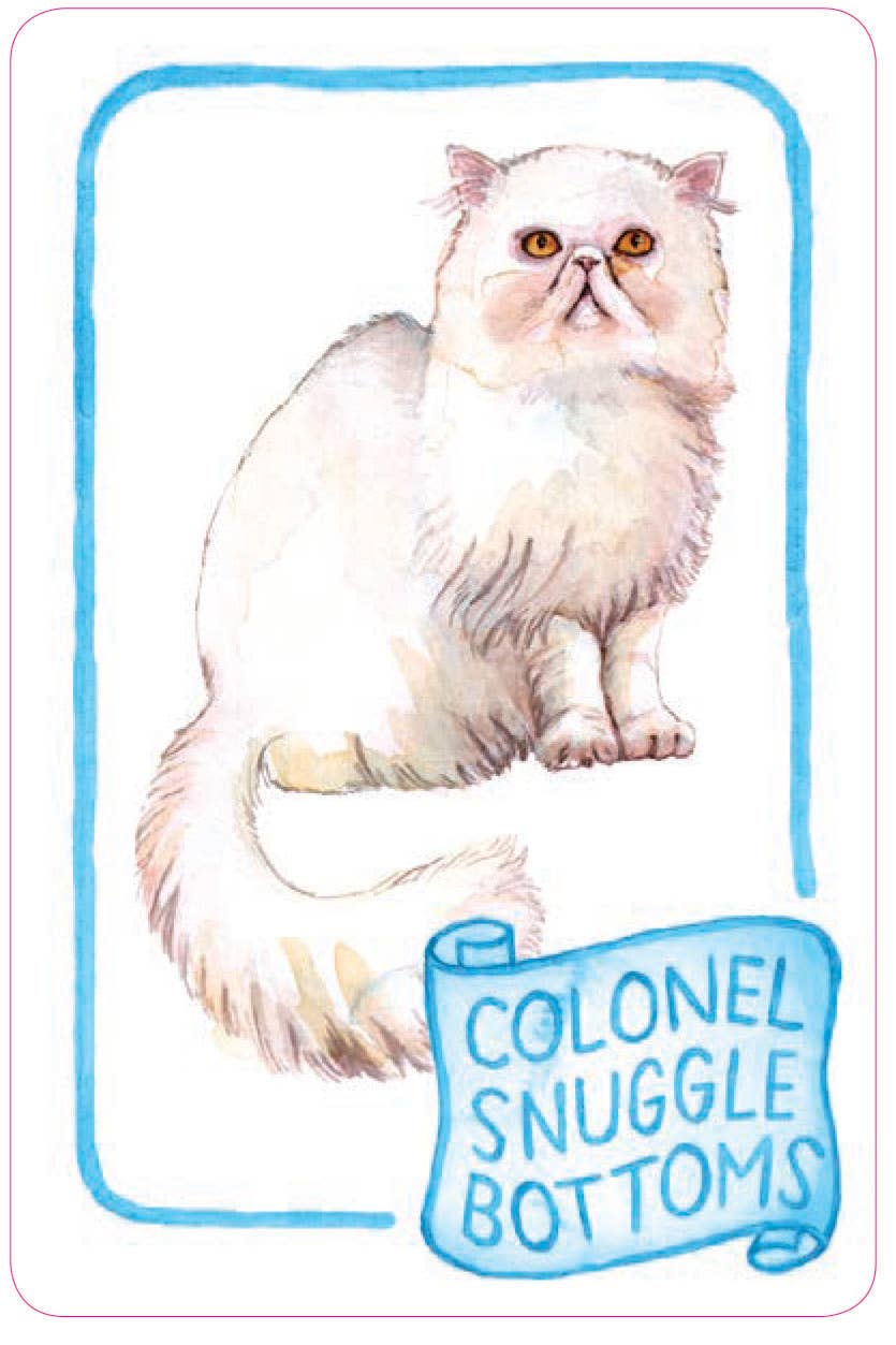Chronicle Books - Cat Lady Old Maid