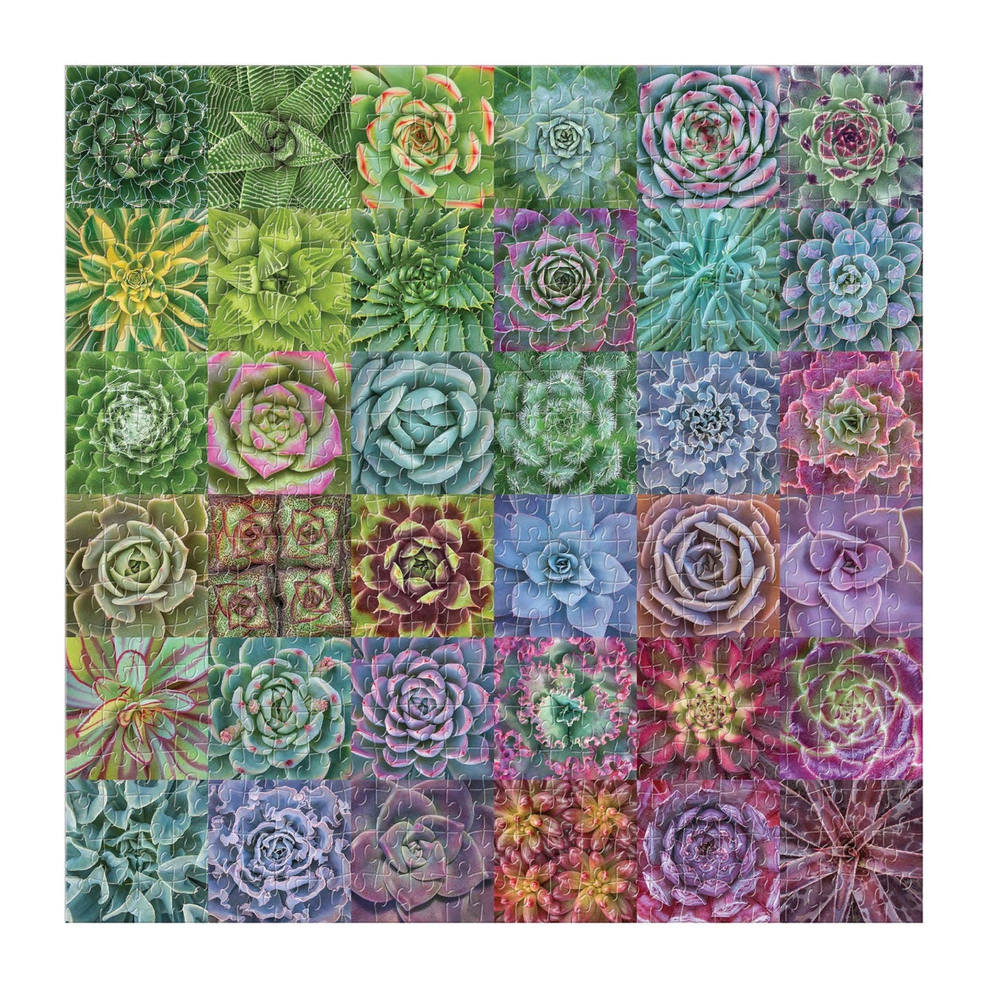 Chronicle Books - Succulent Spectrum 500 Piece Puzzle