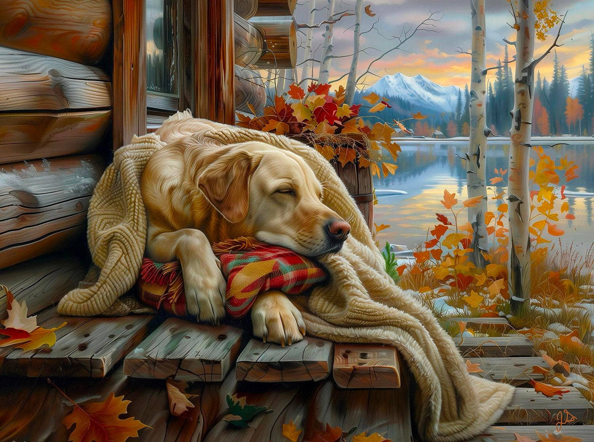 SunsOut - 5504 Morning Nap 1000 pc Puzzle