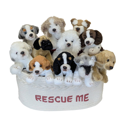 Giffa Plush - 5IN DOG GOLDEN DOODLE-LEO