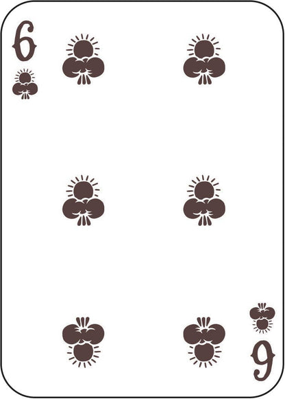 Chronicle Books - Great Outdoors Playing Cards