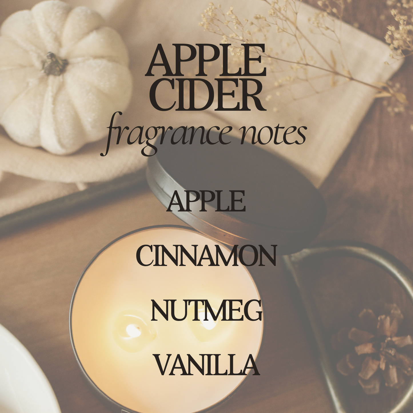 RR101 Rustic Rays Candle Co. - Apple Cider 12 oz Soy Candle - Fall Home Decor & Gifts