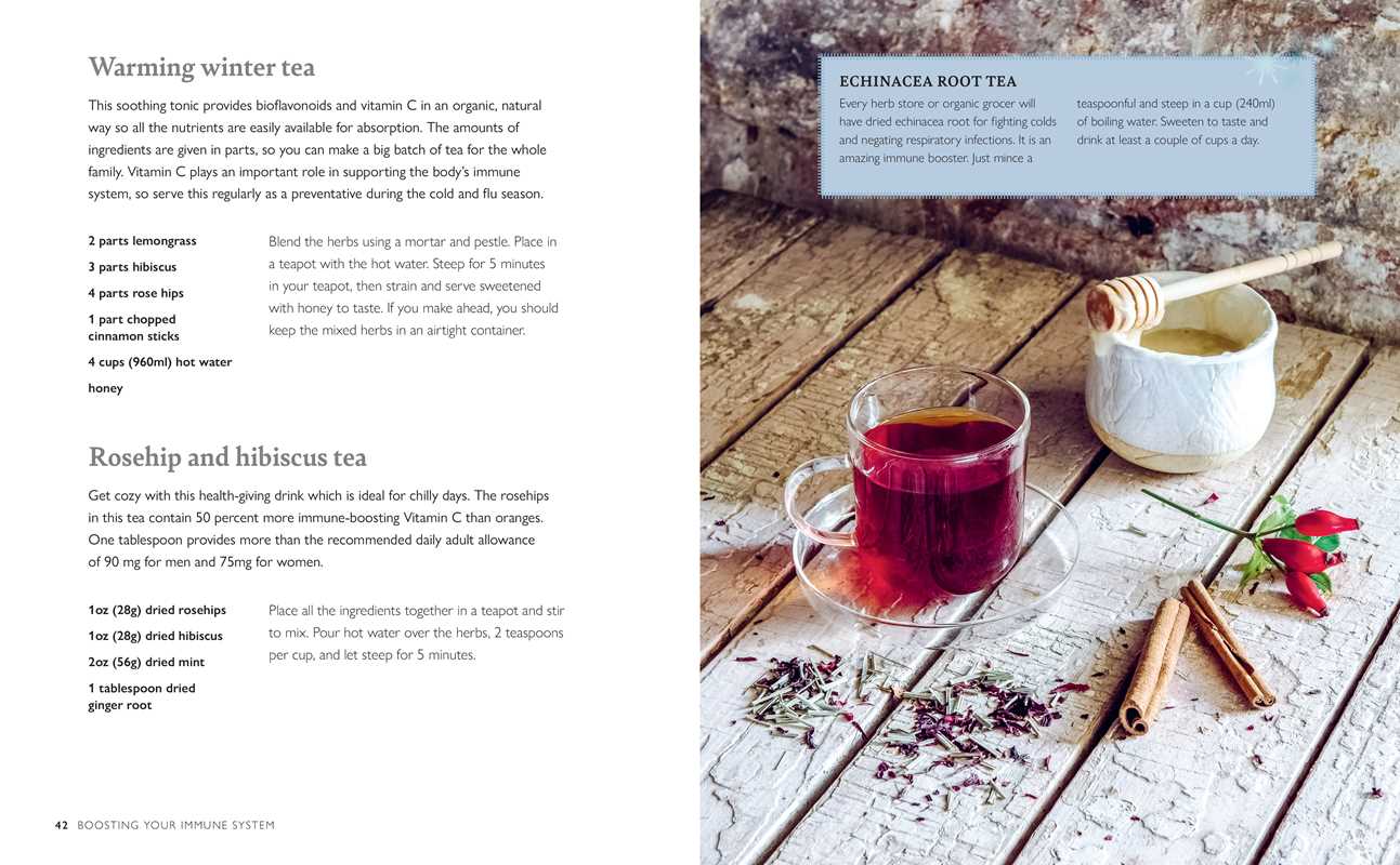 Simon & Schuster - Winter Wellbeing by CICO Books