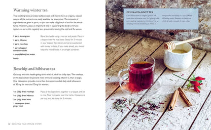 Simon & Schuster - Winter Wellbeing by CICO Books