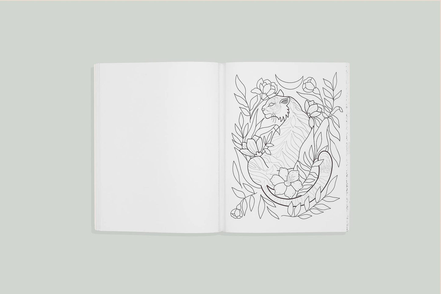 Blue Star Press - You are Made of Magic: Coloring book with Affirmations