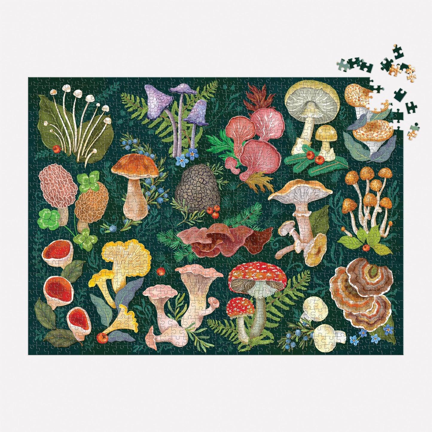Chronicle Books - World of Mushrooms 1000 Piece Puzzle