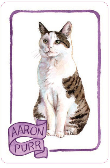 Chronicle Books - Cat Lady Old Maid