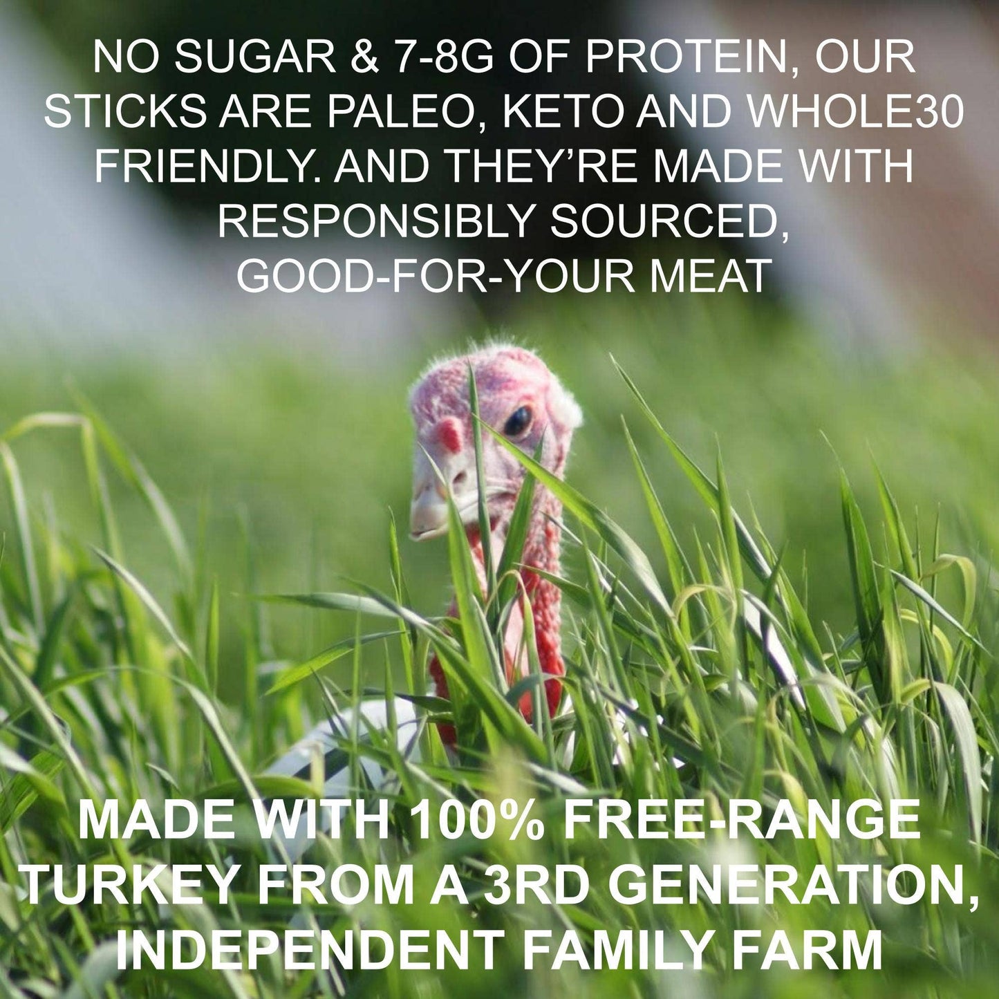 Sogo Snacks - Chimichurri - Free-Range Turkey Sticks (No Sugar)