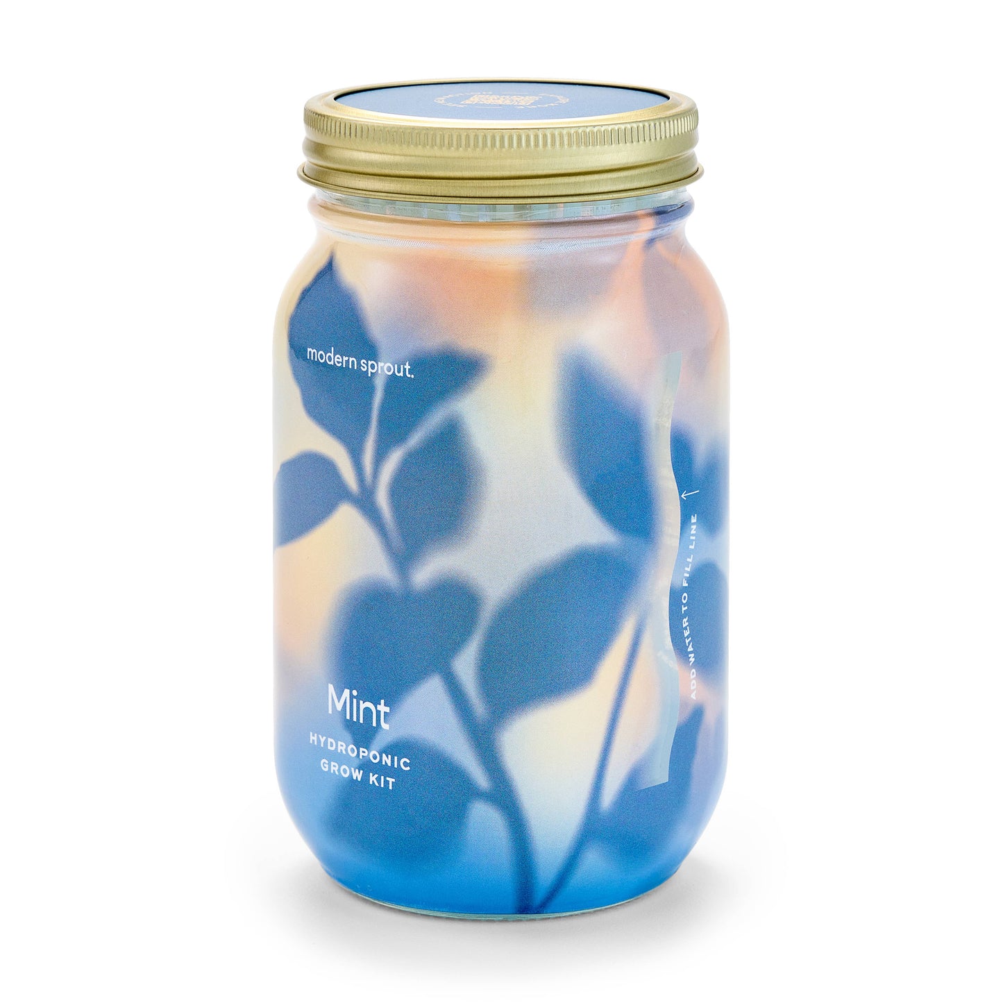 Modern Sprout - Herb Garden Jar
