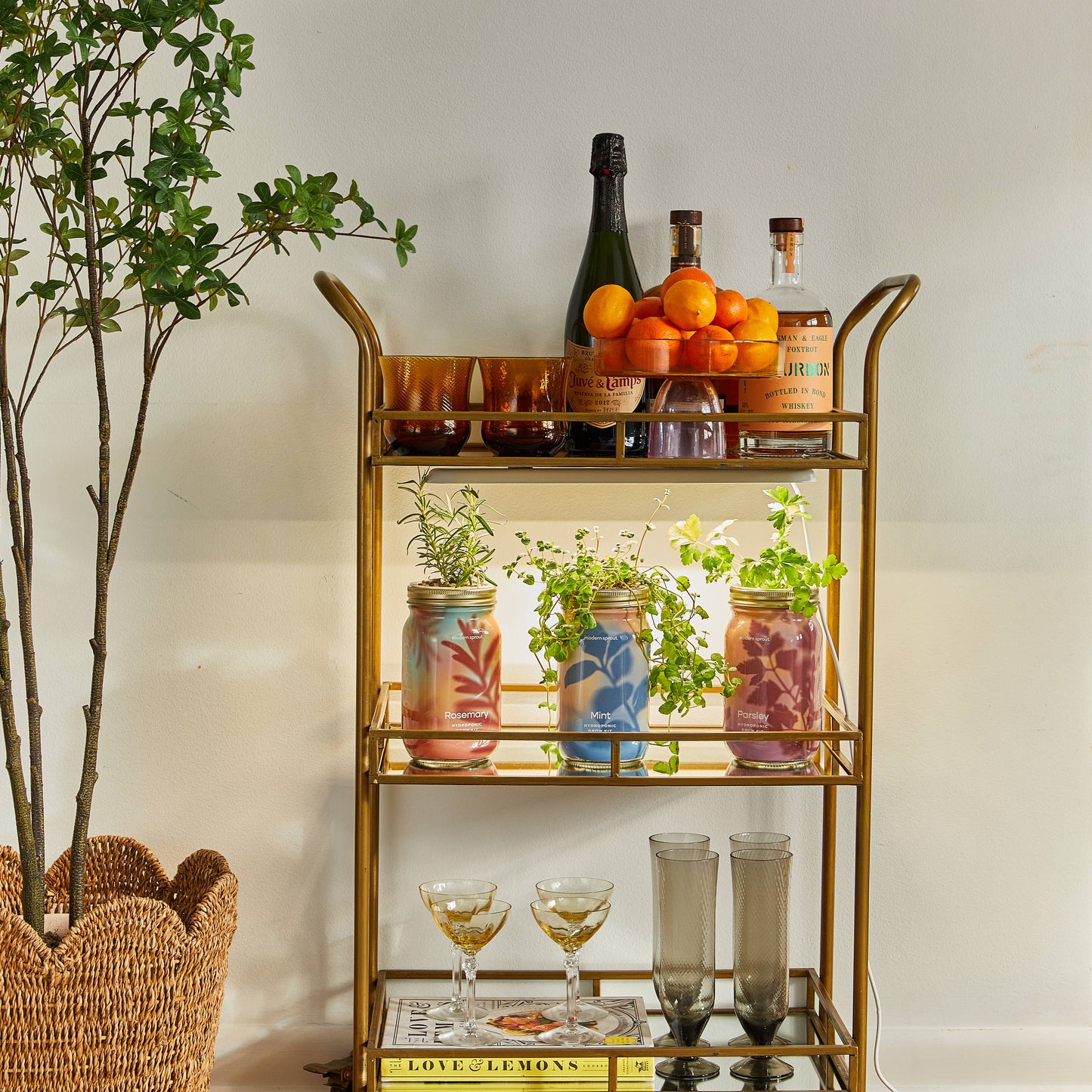 Modern Sprout - Herb Garden Jar