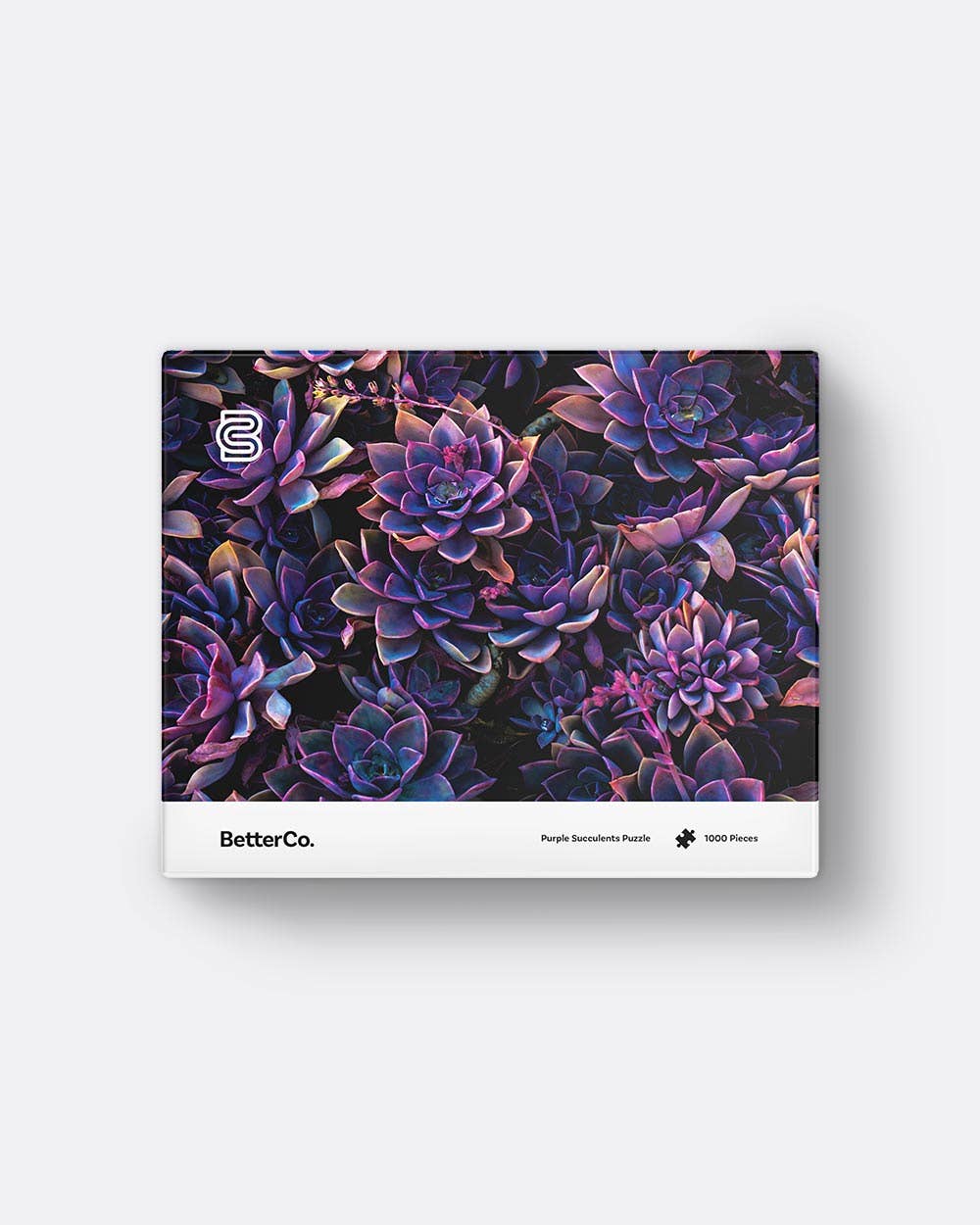 BetterCo. - Purple Succulents