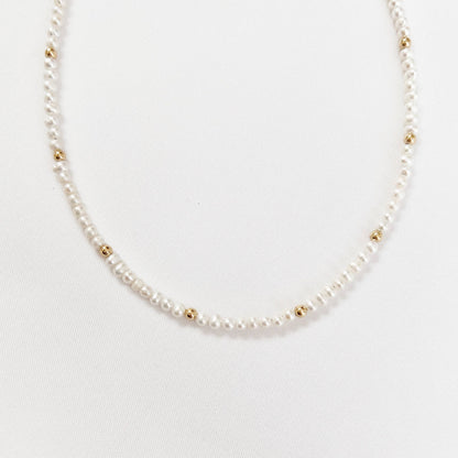 True by Kristy Jewelry - Dainty Freshwater Pearl Choker Necklace Gold Filled