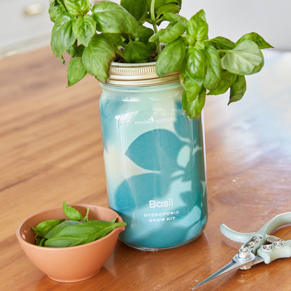 Modern Sprout - Herb Garden Jar