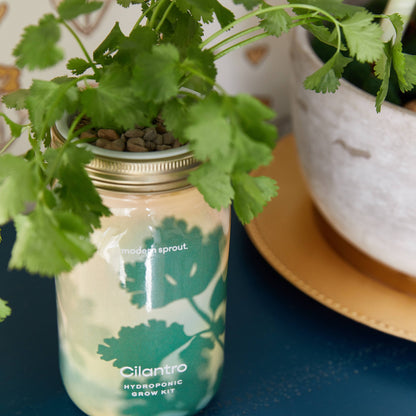 Modern Sprout - Herb Garden Jar
