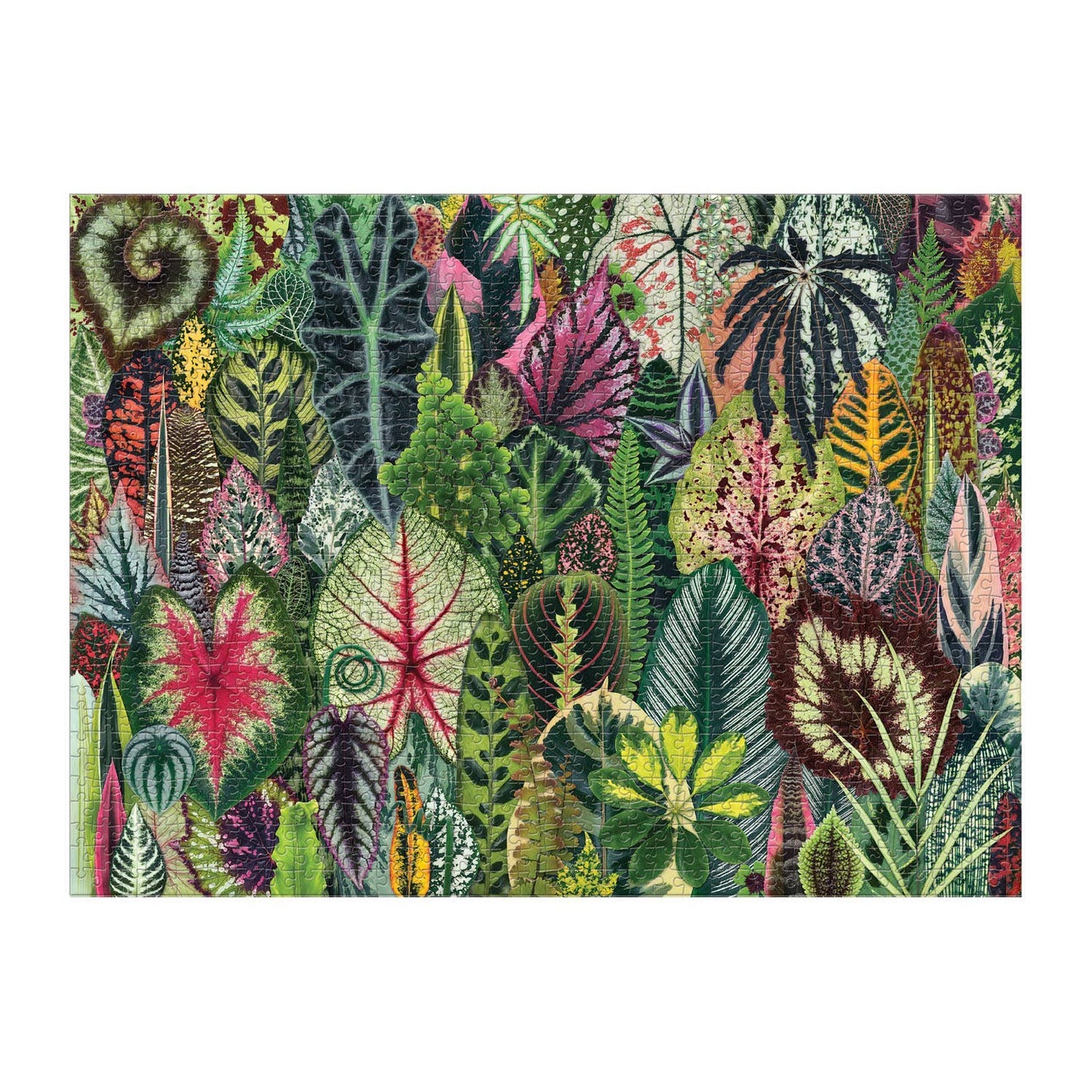 Chronicle Books - Houseplant Jungle 1000pc Puzzle