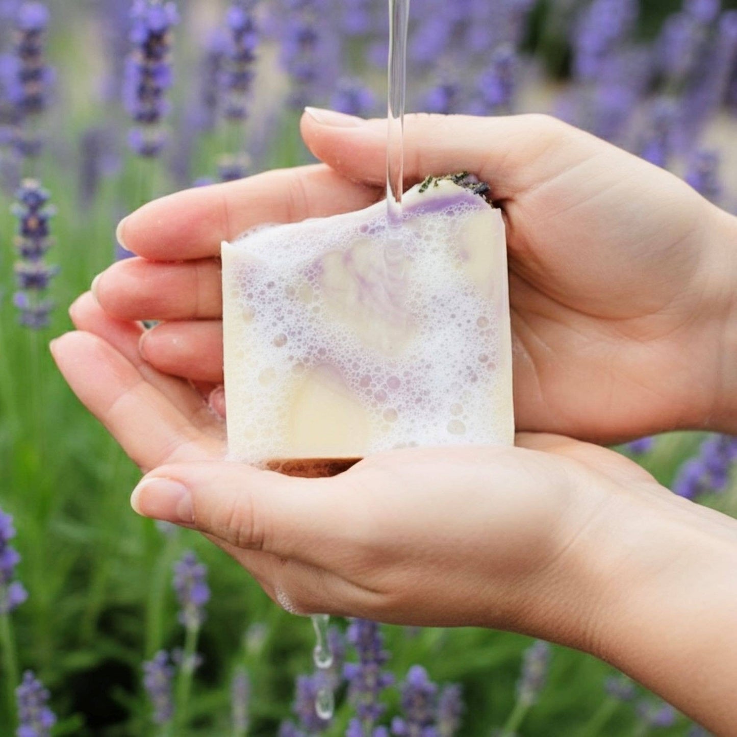 SARATOGA NATURAL BODY CARE LLC - Lavender Handmade Soap Bar VEGAN COLD PROCESS