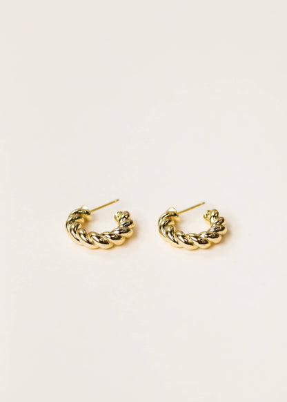 JaxKelly - Gold Hoop - Twisted - Gold Earrings