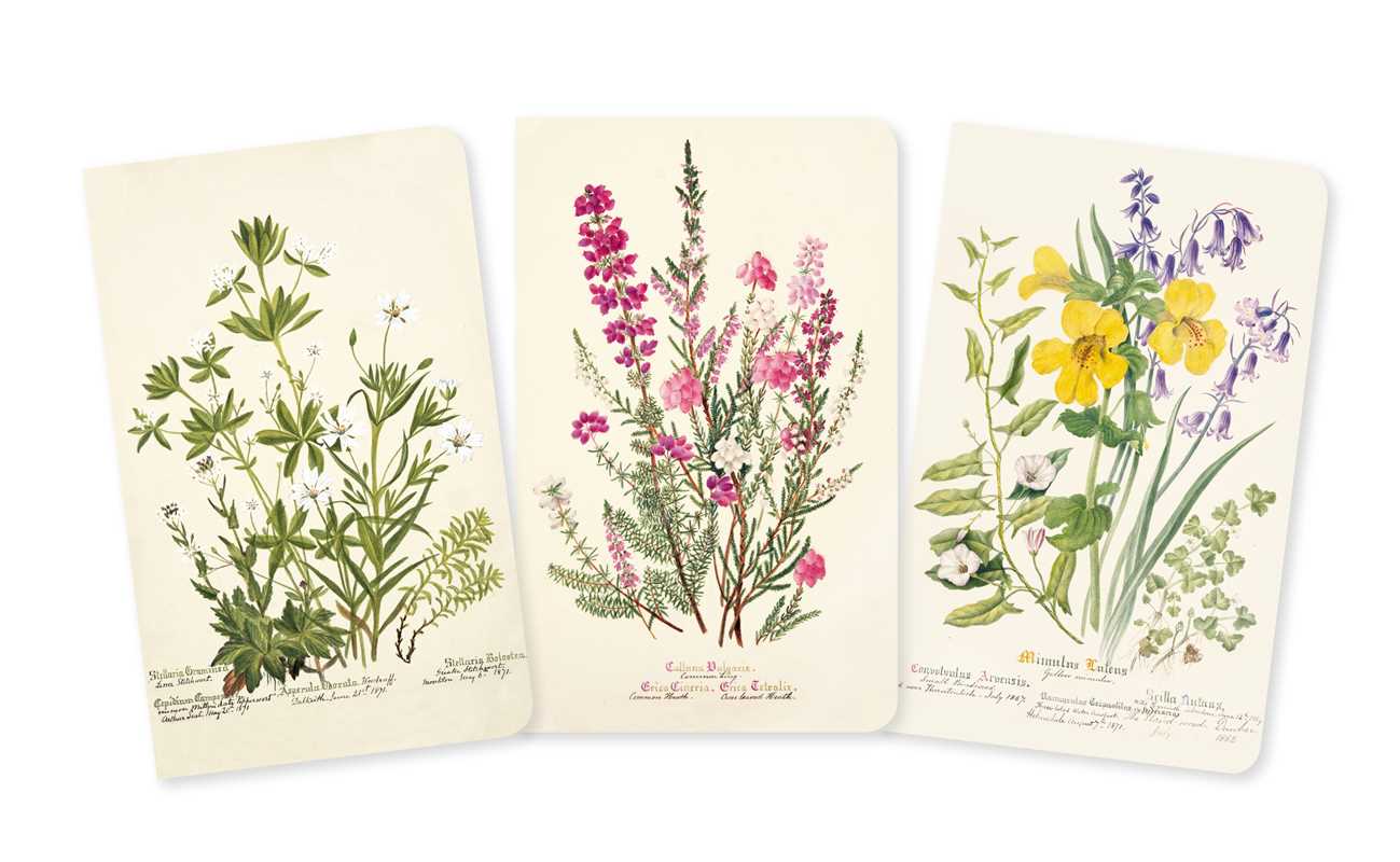 Simon & Schuster - Royal Botanic Garden Edinburgh Set of 3 Mini Notebooks by