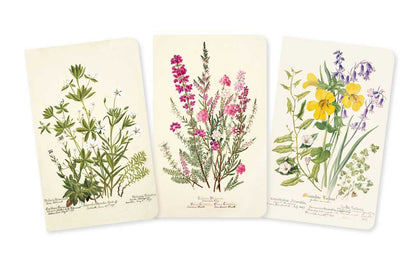 Simon & Schuster - Royal Botanic Garden Edinburgh Set of 3 Mini Notebooks by